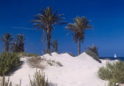 Playas del Mar Mediterraneo.jpg